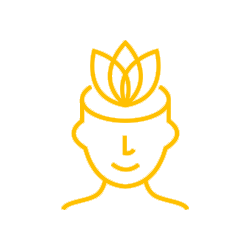 Manifestation